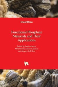 bokomslag Functional Phosphate Materials and Their Applications