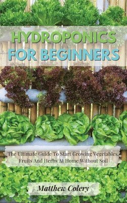 bokomslag Hydroponics for Beginners