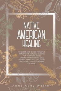 bokomslag Native American Healing