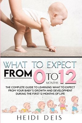 What to Expect from 0 to 12 Months 1