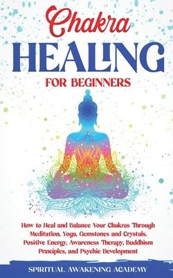 bokomslag Chakra Healing for Beginners