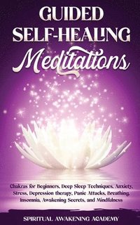 bokomslag Guided Self-Healing Meditations