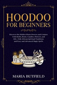 bokomslag Hoodoo for Beginners