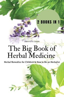 bokomslag Big Book of Herbal Medicine