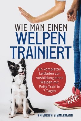 Wie man einen Welpen trainiert 1