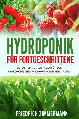 Hydroponik für Fortgeschrittene