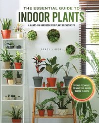 bokomslag The Essential Guide to Indoor Plants