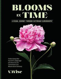 bokomslag Blooms in Time