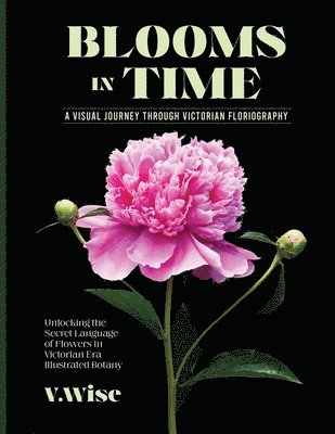 Blooms in Time 1