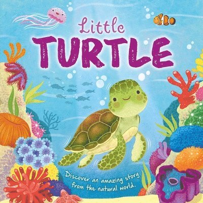 Igloobooks - Nature Stories: Little Turtle-Discover an Amazing Story from the Natural World: Padded Board Book, Kartonnage