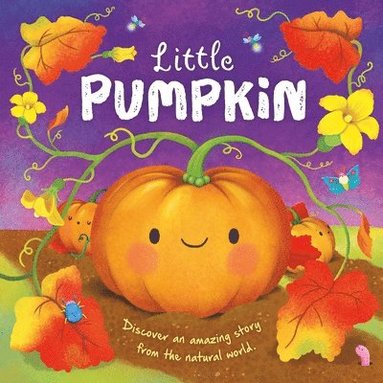 bokomslag Nature Stories: Little Pumpkin-Discover an Amazing Story from the Natural World