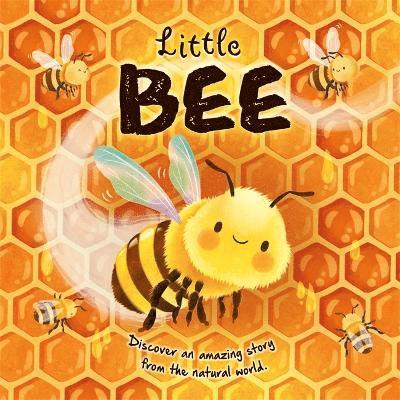 Autumn Publishing - Little Bee, Inbunden