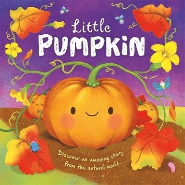 bokomslag Little Pumpkin