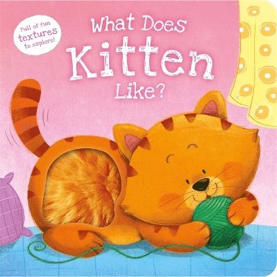 What Does Kitten Like?