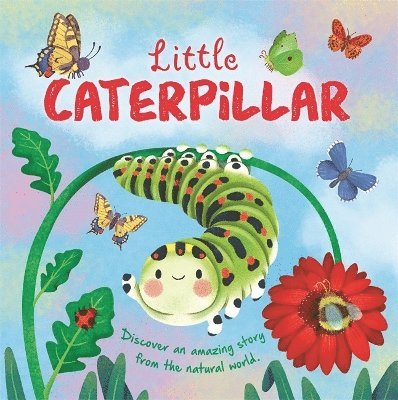 Little Caterpillar 1