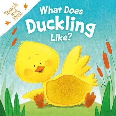 What Does Duckling Like?: Touch & Feel Board Book