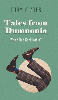 bokomslag Tales from Dumnonia
