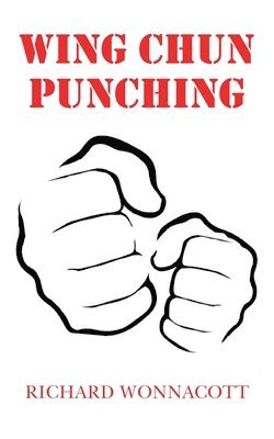 Wing Chun Punching 1