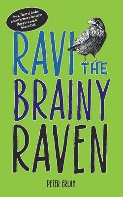 bokomslag Ravi the Brainy Raven