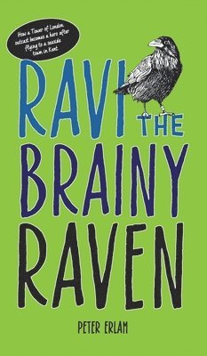 Ravi the Brainy Raven 1