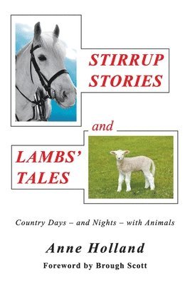 bokomslag STIRRUP STORIES and LAMBS' TALES