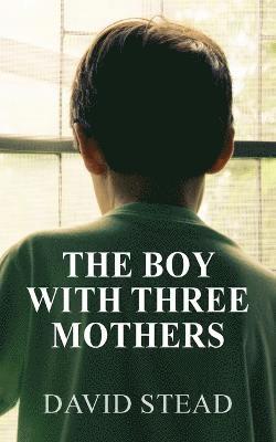 bokomslag Boy With Three Mothers