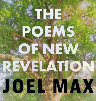 bokomslag Poems of New Revelation