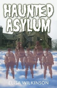 bokomslag The Haunted Asylum