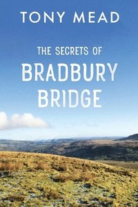 bokomslag Secrets of Bradbury Bridge