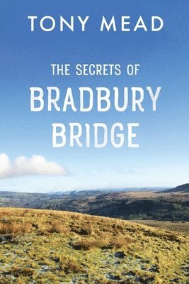 bokomslag Secrets of Bradbury Bridge