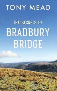 bokomslag Secrets of Bradbury Bridge