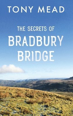 bokomslag Secrets of Bradbury Bridge