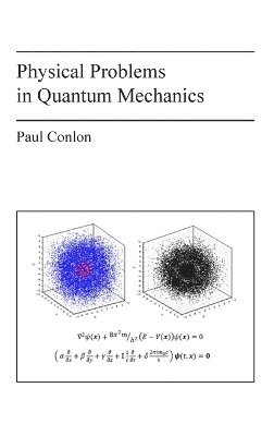 bokomslag Physical Problems in Quantum Mechanics