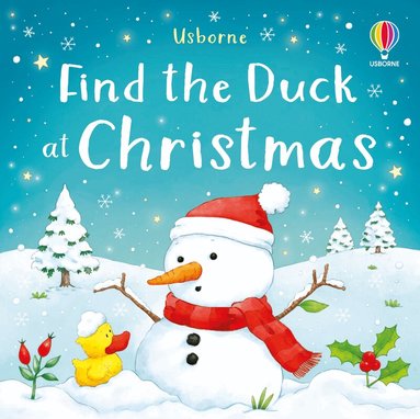Kate Nolan - Find the Duck at Christmas, Kartonnage
