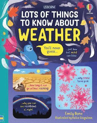 Lots of Things to Know About Weather 1