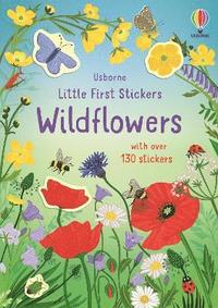 bokomslag Little First Stickers Wildflowers