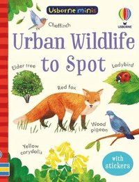 bokomslag Urban Wildlife to Spot