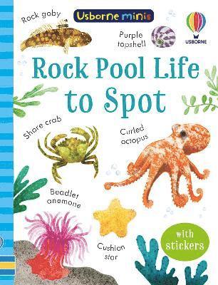 Rock Pool Life to Spot 1