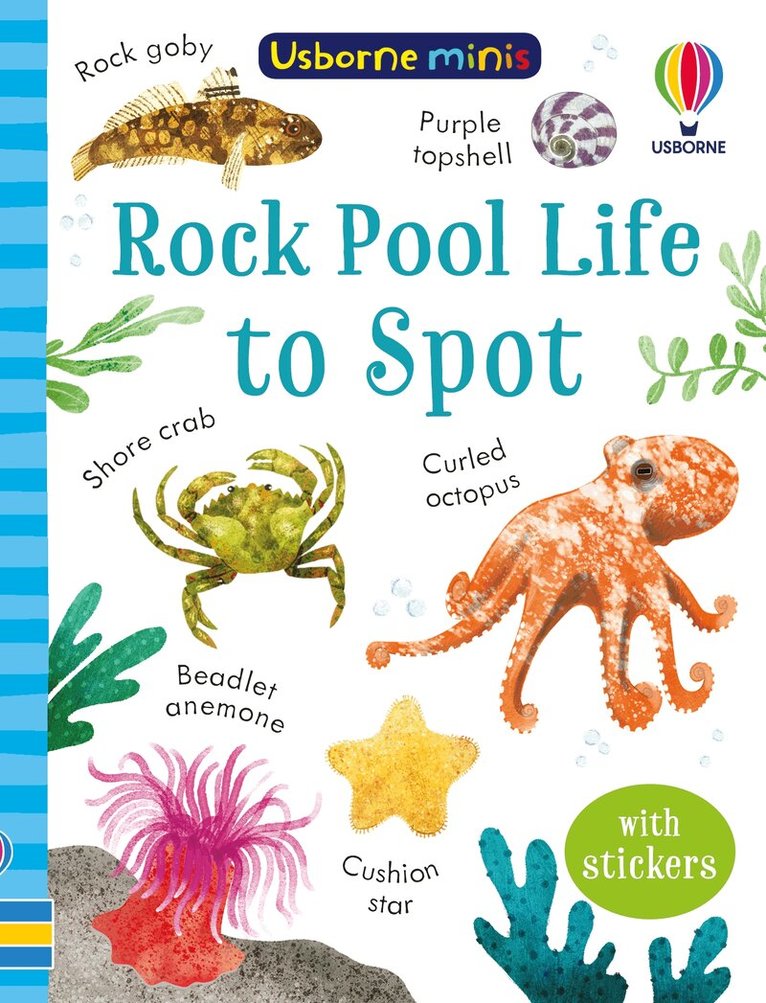 Simon Tudhope - Rock Pool Life to Spot, Häftad