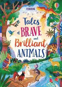 bokomslag Tales of Brave and Brilliant Animals