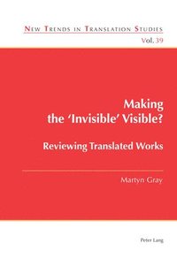 bokomslag Making the 'Invisible' Visible?