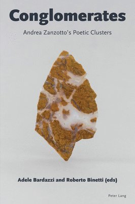 bokomslag Conglomerates