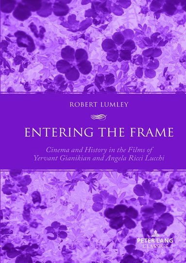 Robert Lumley - Entering the Frame, Häftad
