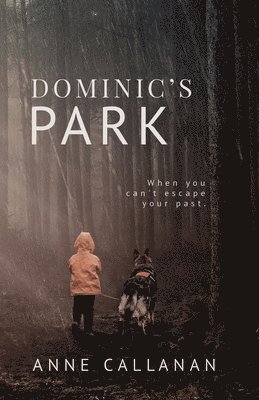 bokomslag Dominic's Park