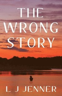 bokomslag Wrong Story