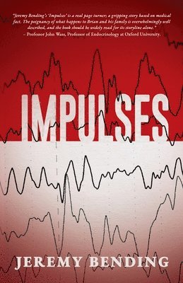 bokomslag Impulses