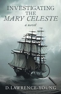 bokomslag Investigating the Mary Celeste