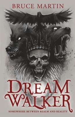 bokomslag Dream Walker