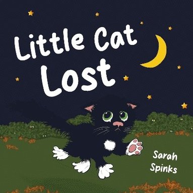 bokomslag Little Cat Lost