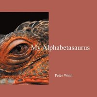bokomslag My Alphabetasaurus